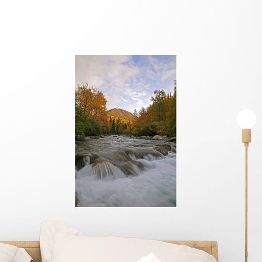 Little Susitna River At The Start Of The Hatchers Pass Road Wall Mural