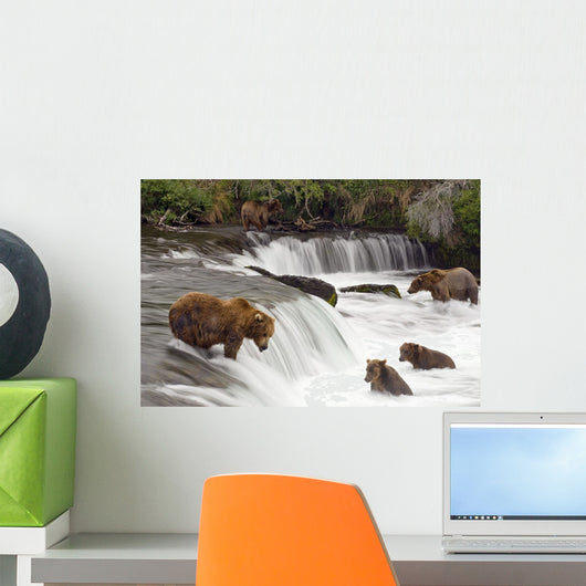Grizzly Bears Fish At Brooks Falls In Katmai National Park, Alaska Wall Mural