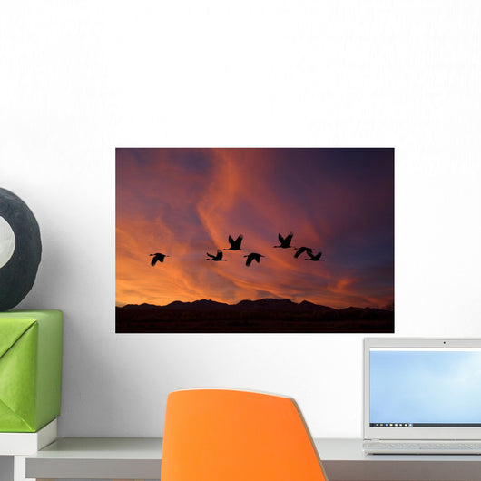 Sandhill Cranes At Bosque Del Apache National Wildlife Refuge Fall Wall Mural