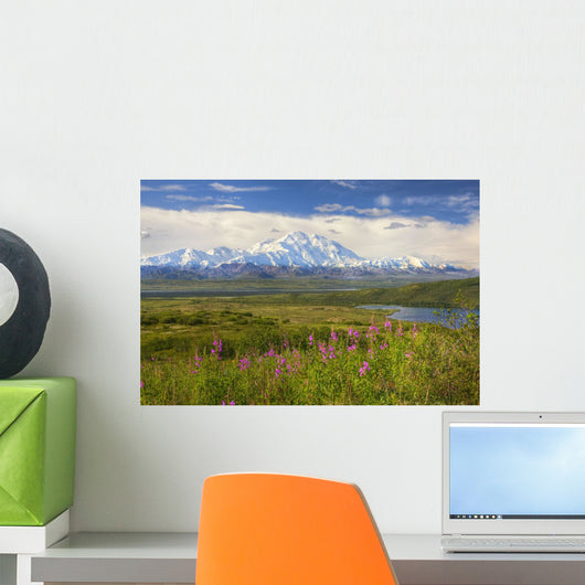 View Of The North Side Of Mt Mckinley Wall Mural