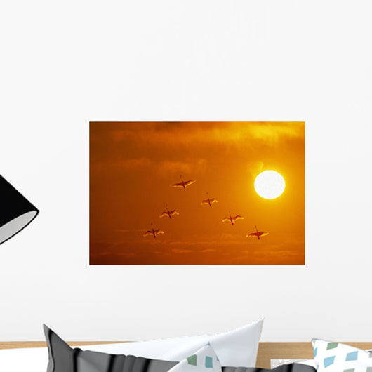 Swans Flying At Sunset Composite Wall Mural