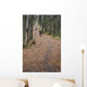 Woman Mountain Biking Wall Mural