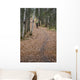 Woman Mountain Biking Wall Mural