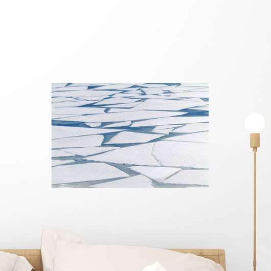Winter Ice Layer Wall Mural