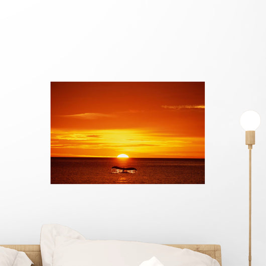 Humpback Whale Tail @ Sunset Se Composite Wall Mural