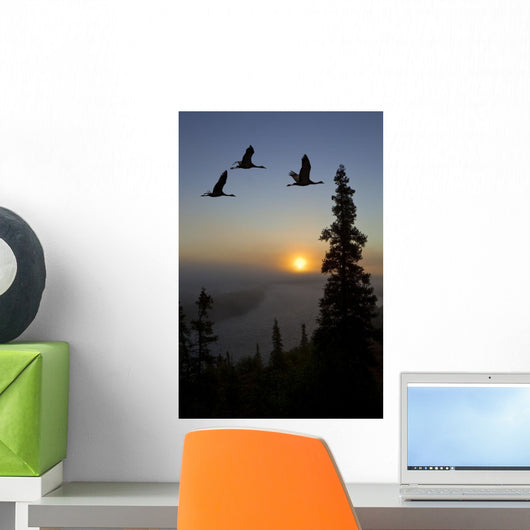 Composite Wall Mural