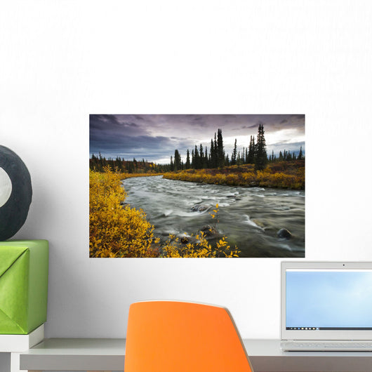 View Of Brushkana Creek Wall Mural