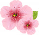 Cherry Blossom Flowers Wall Decal