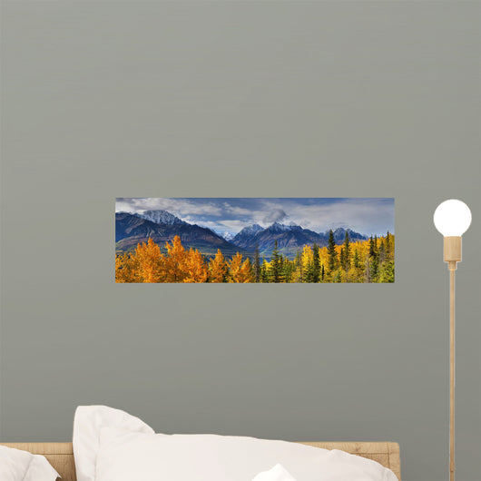 Panoramic View Of The Fall Foliage And Snowcapped Chugach Mountains Wall Mural