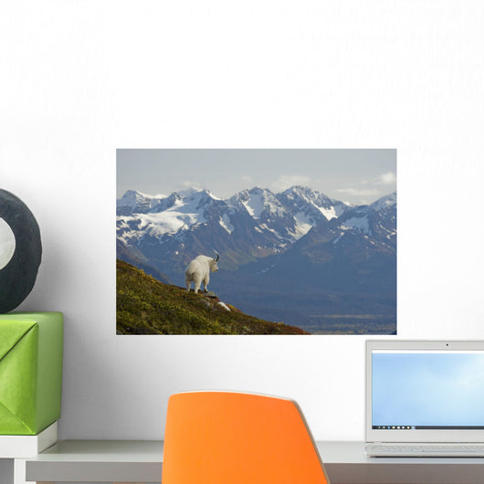 A Mountain Goat Stands On A Ridge With The Scenic Kenai Mountains Wall Mural