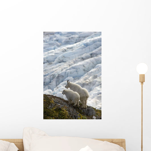 A Nanny Mountain Goat With A Young Kid Overlook A Glacier Wall Mural