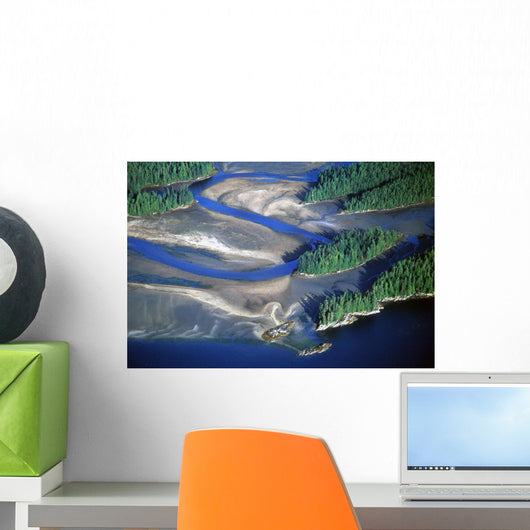 Aerial View Of Manzanita River Delta At Low Tide Wall Mural