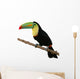 Toucan Bird Colorful White