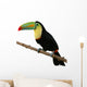 Toucan Bird Colorful White