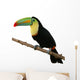 Toucan Bird Colorful White
