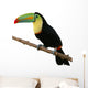 Toucan Bird Colorful White