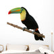 Toucan Bird Colorful White