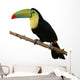 Toucan Bird Colorful White