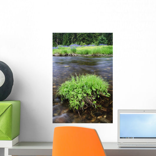 Foliage On A Islet In Fools Creek, Wrangell Island, Southeast Alaska Wall Mural