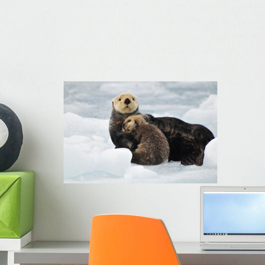 Sea Otter Mother And Pup Rest On An Ice Floe At Harvard Glacier Wall Mural