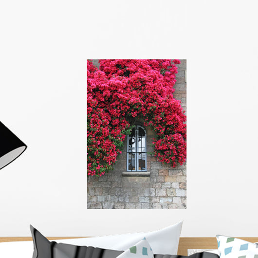 Flowers Old Wall Window