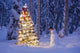 Snowman With Santa Hat Hanging Ornaments On A Christmas Tree Wall Mural