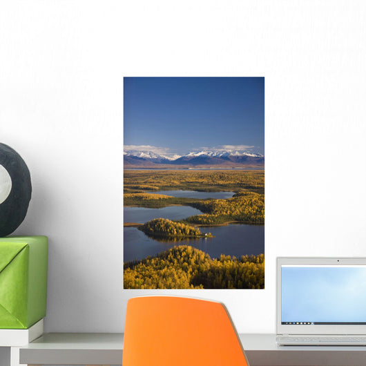 Aerial View Of The Lakes And Birch Forests At Point Mackenzie Wall Mural
