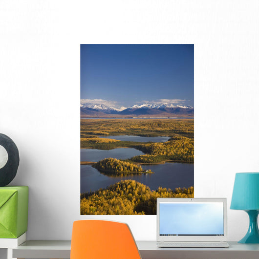 Aerial View Of The Lakes And Birch Forests At Point Mackenzie Wall Mural