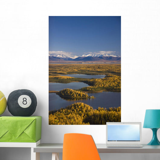 Aerial View Of The Lakes And Birch Forests At Point Mackenzie Wall Mural
