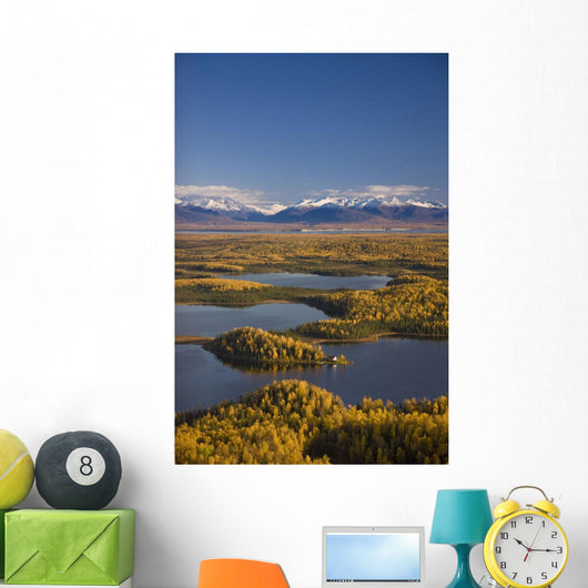 Aerial View Of The Lakes And Birch Forests At Point Mackenzie Wall Mural