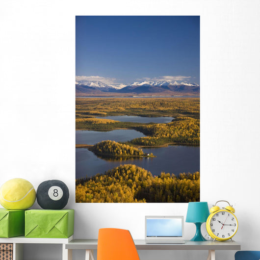 Aerial View Of The Lakes And Birch Forests At Point Mackenzie Wall Mural