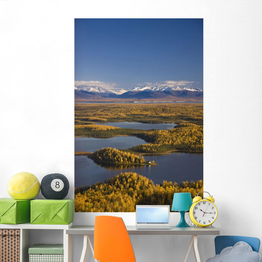 Aerial View Of The Lakes And Birch Forests At Point Mackenzie Wall Mural