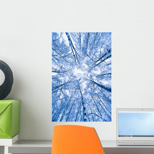 Tree Top Abstract Of A Snow Covered Birch Forest Wall Mural