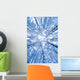Tree Top Abstract Of A Snow Covered Birch Forest Wall Mural