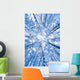 Tree Top Abstract Of A Snow Covered Birch Forest Wall Mural
