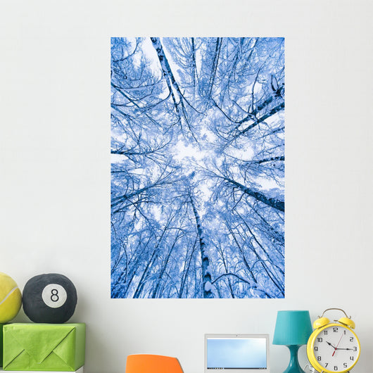 Tree Top Abstract Of A Snow Covered Birch Forest Wall Mural