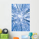 Tree Top Abstract Of A Snow Covered Birch Forest Wall Mural