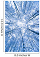 Tree Top Abstract Of A Snow Covered Birch Forest Wall Mural