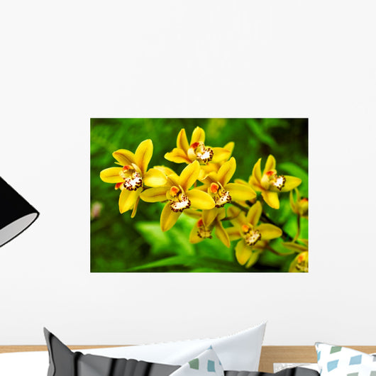 orchid Wall Mural