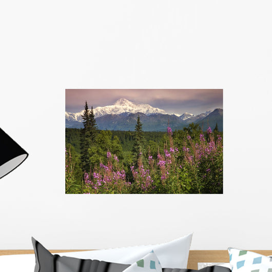 Southside View Of MtMckinley Wall Mural