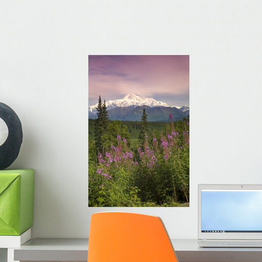 Southside View Of MtMckinley Wall Mural