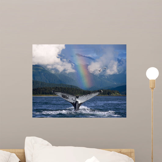 Humpback Whale Submerging Showing Fluke With Rainbow Wall Mural