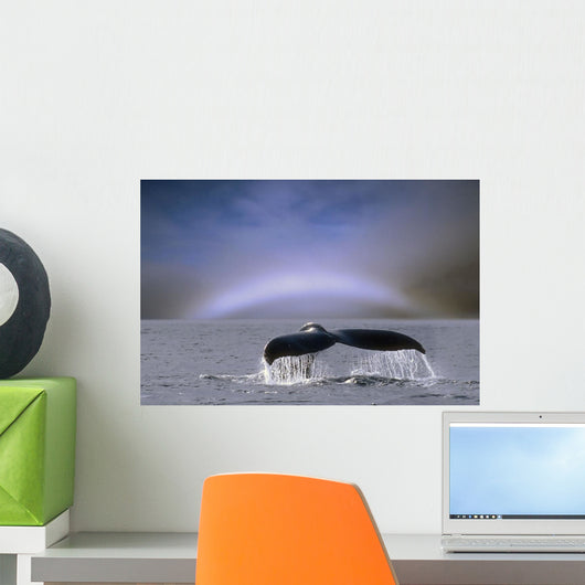 Humpback Whale Fluke Wall Mural