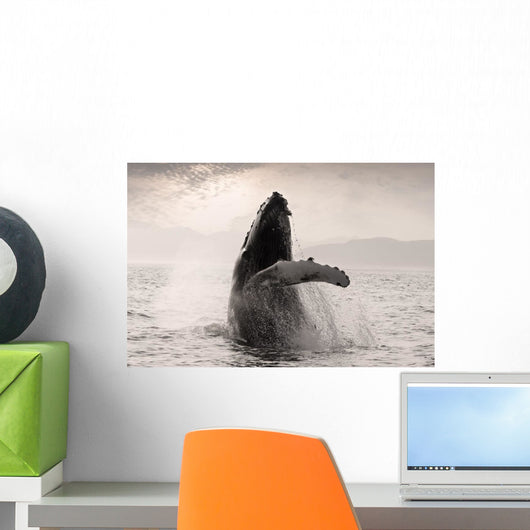Humpback Whale Breaching With Coast Mountains Wall Mural