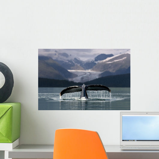 Composite Humpback Whale Shows Fluke Wall Mural