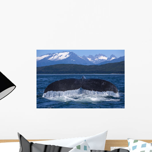 A Humpback Whale Lifts Its Flukes Wall Mural