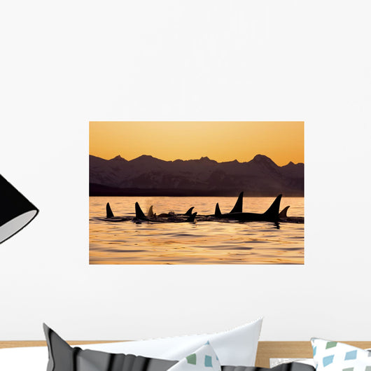 Silhouette Of A Pod Of Orca Whales Wall Mural