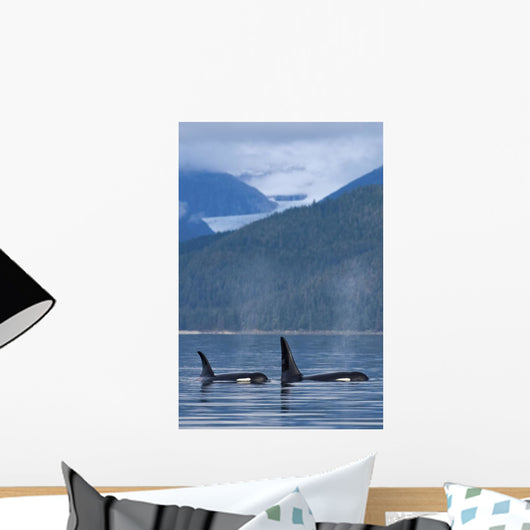Composite Wall Mural