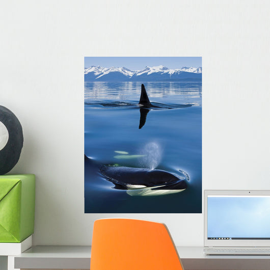Composite Wall Mural