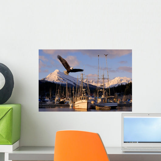 Bald Eagle Wall Mural